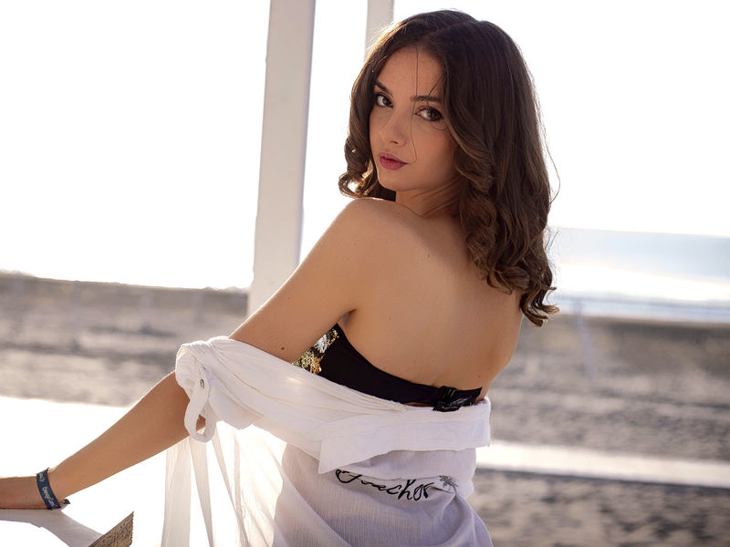 Finding your way throughout  the webpages is pretty easy, even given  the proportions  of the collecting